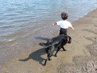 お台場海浜公園