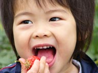 千葉県館山市いちご狩り