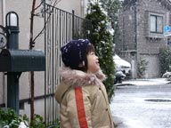 初雪（12月29日）