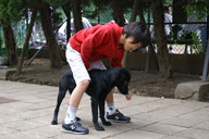 駒沢公園ドックラン