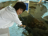 葛西臨海水族園（サメにタッチ）