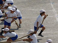 運動会（大物をねらえ）