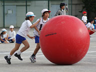 運動会（大玉転がし）