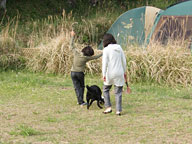 伊豆自然村キャンプフィールド