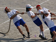 小学校運動会