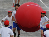 小学校運動会（大玉転がし）